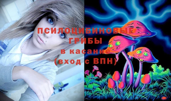 молекула духа Магадан