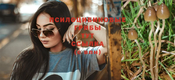 скорость Липки