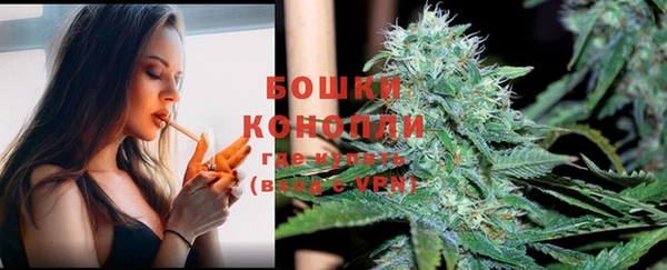 прущая мука Магас