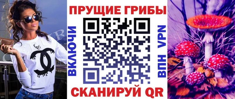 где продают   Малоярославец  Галлюциногенные грибы Psilocybine cubensis 